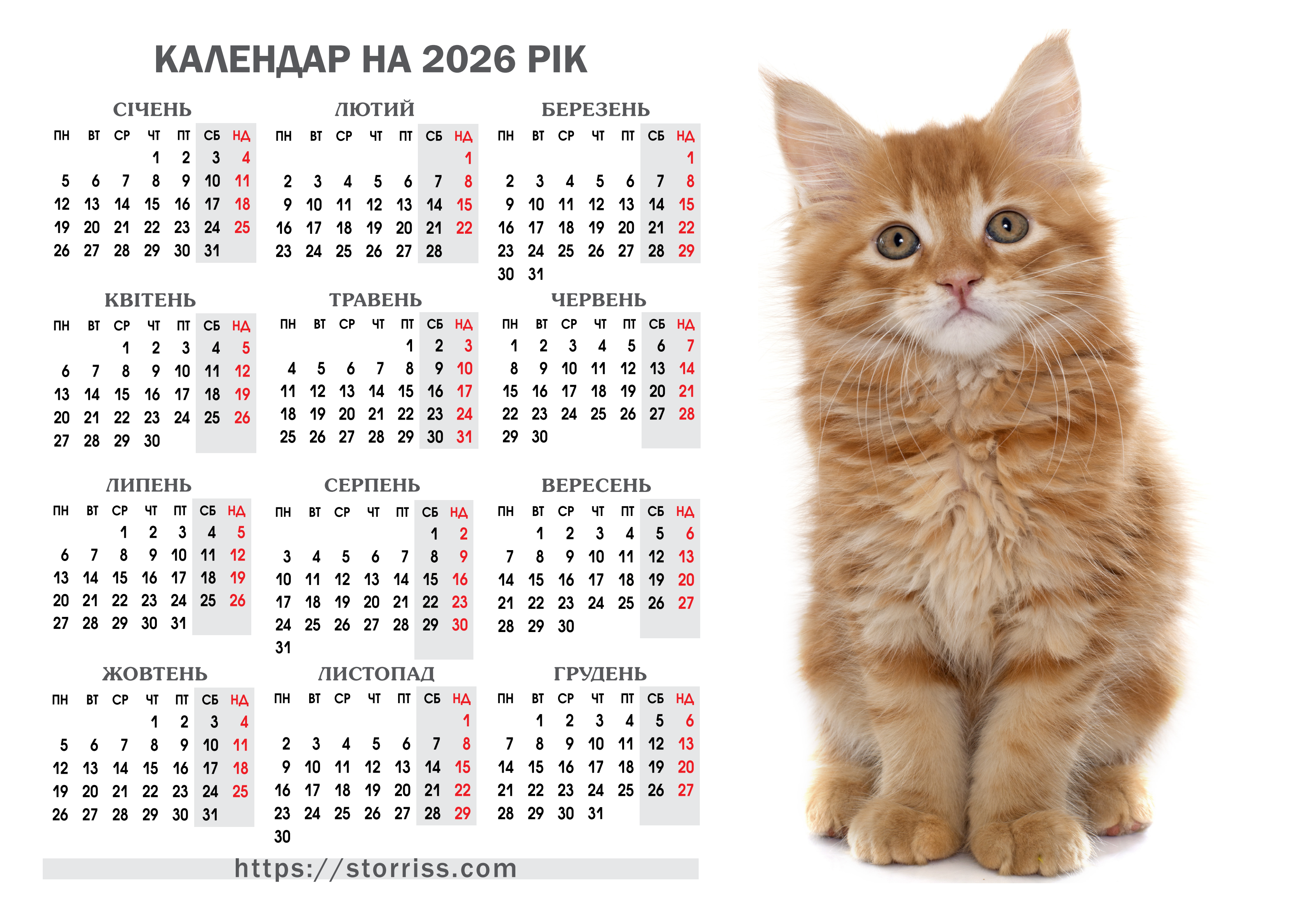 Calendar with cat