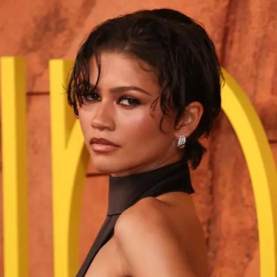 Зендая та Сідні Свіні ігнорували одна одну на прем’єрі