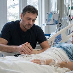 ЖИВІ ЯБЛУКА