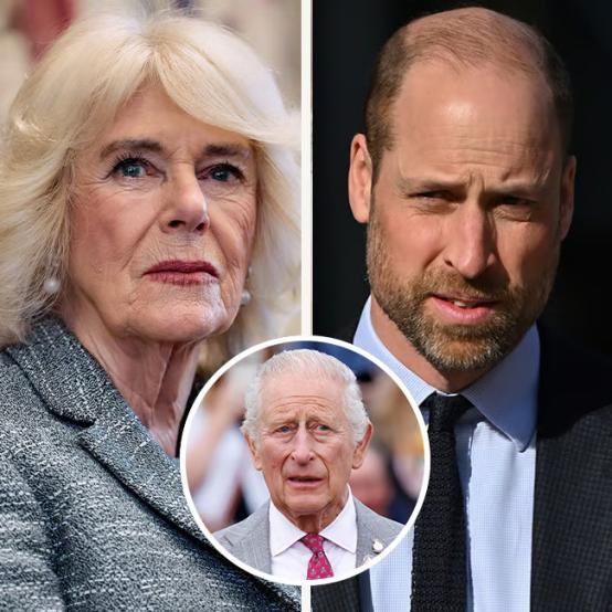 Принц Вільям та королева Камілла: конфлікт через здоров'я короля Чарльза III
