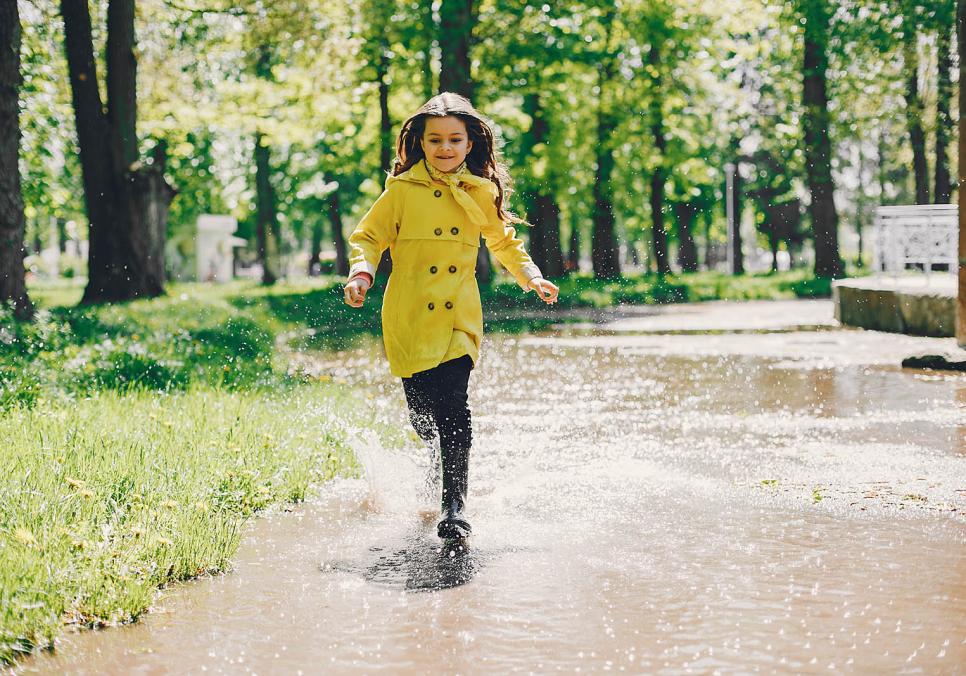 ЗВІЯНІ ВІТРОМ ЗВІЯНІ ВІТРОМ