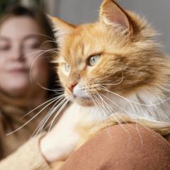 ЗНАЙТИ МИХАЙЛА