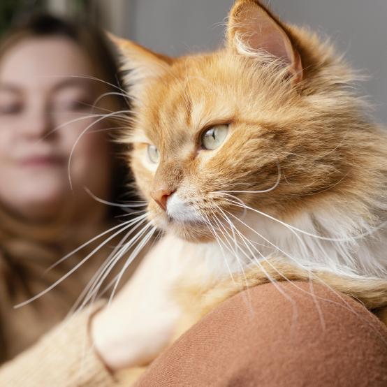 ЗНАЙТИ МИХАЙЛА