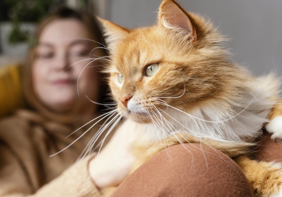 ЗНАЙТИ МИХАЙЛА