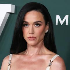 Кеті Перрі розкритикували через скандальний судовий процес із ветераном за особняк