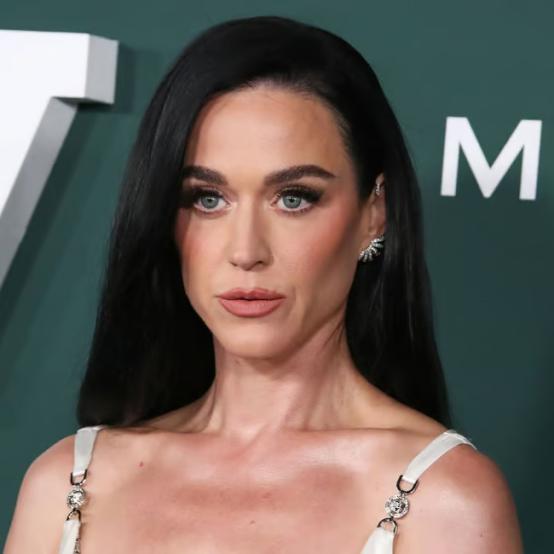 Кеті Перрі розкритикували через скандальний судовий процес із ветераном за особняк