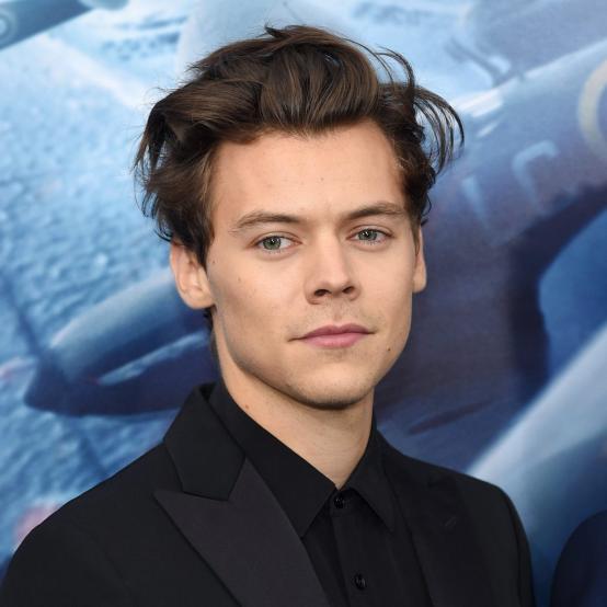 Гаррі Стайлз стане куратором ювілейного фестивалю Meltdown у Лондоні