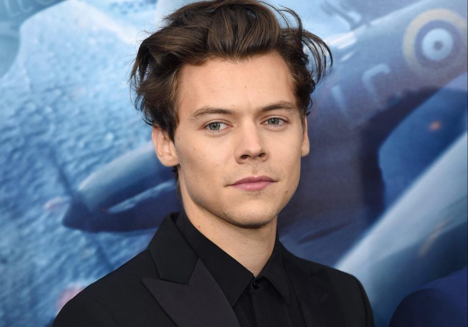 Гаррі Стайлз стане куратором ювілейного фестивалю Meltdown у Лондоні