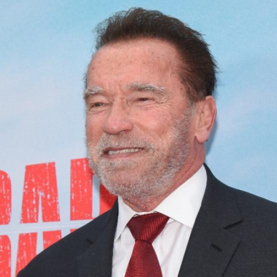 Арнольда Шварценеґґера затримали працівники митниці в аеропорту Мюнхена