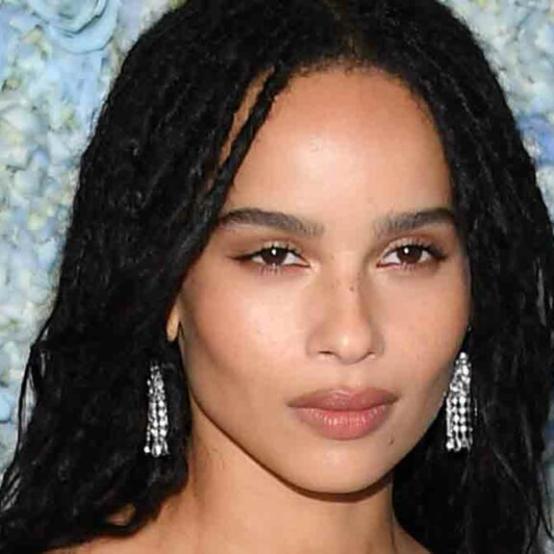 Зої Кравіц назвала Гаррі Стайлза своєю «спорідненою душею»