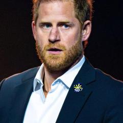 Принц Гаррі став «прославленим домогосподарем» у Монтесіто на тлі кар'єрних невдач
