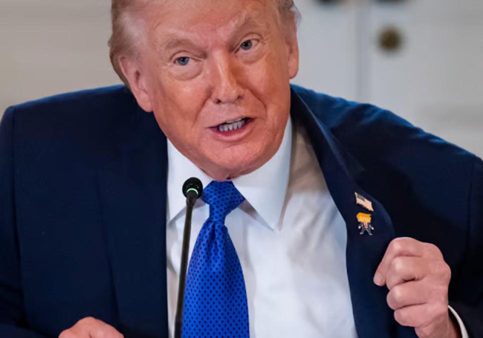 Дональд Трамп потрапив у скандал через «кулеметні губи» Кароліни Лівітт