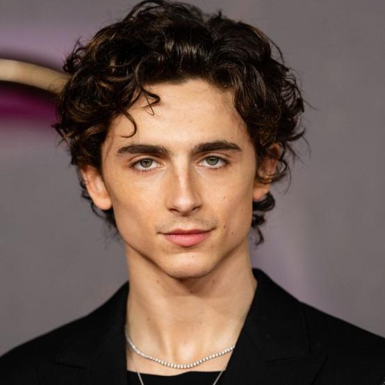 Тімоті Шаламе створює найпривабливішого негідника сучасного кіно