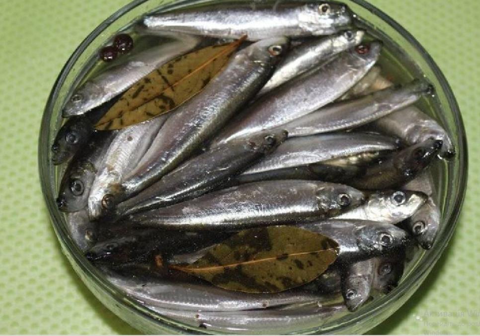 Рецепти:   Смачна домашня пряна маринована кілька