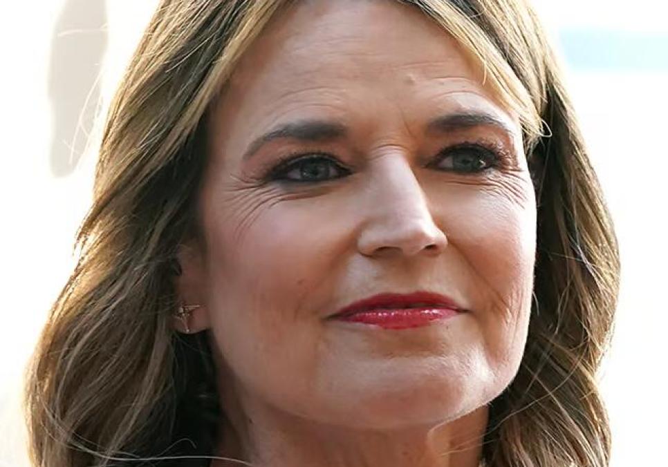 Саванна Гатрі повернулася до колег під час пошуків матері