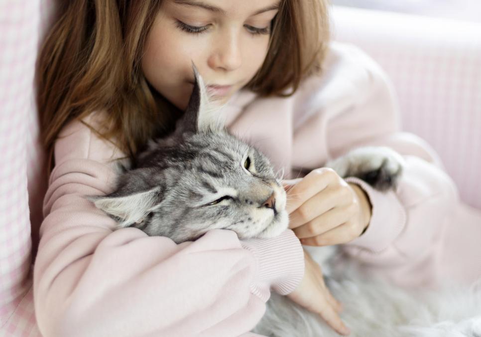 КРАМАТОРСЬКИЙ ПРОМІНЧИК