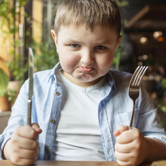 ПОРАЗКА ЧИНГІСХАНА