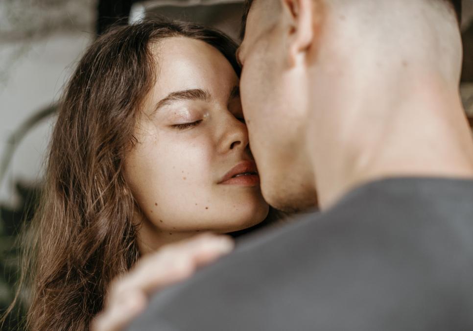 ПІСНЯ ЗАКОХАНИХ ФАЗАНІВ