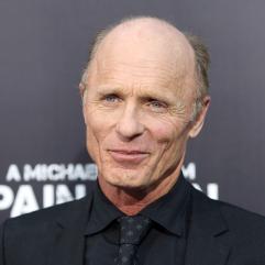 Ед Гарріс та Дьюла Газдаг отримають першу нагороду Роберта Редфорда Luminary Award