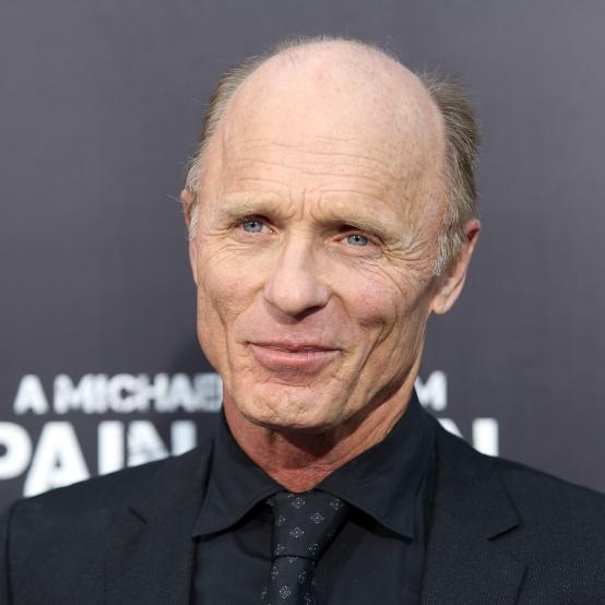 Ед Гарріс та Дьюла Газдаг отримають першу нагороду Роберта Редфорда Luminary Award