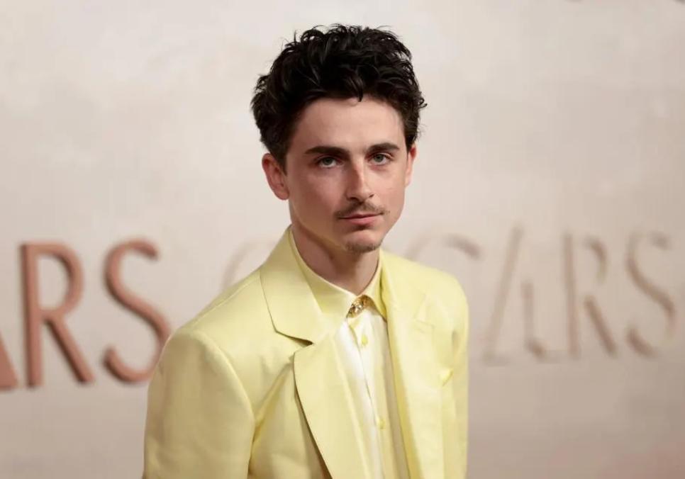 Тімоті Шаламе: визнання музичних зусиль зіркового актора