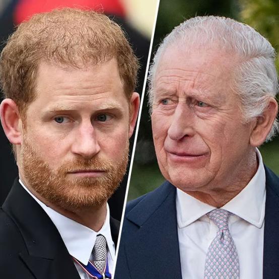 Принц Гаррі вимагав гроші, лаючись на короля Чарльза