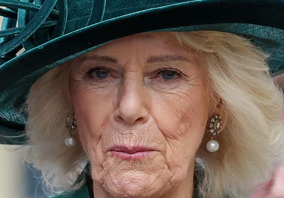 Королева Камілла шокувала мережу повністю чорним вбранням для зустрічі з новим Папою Римським