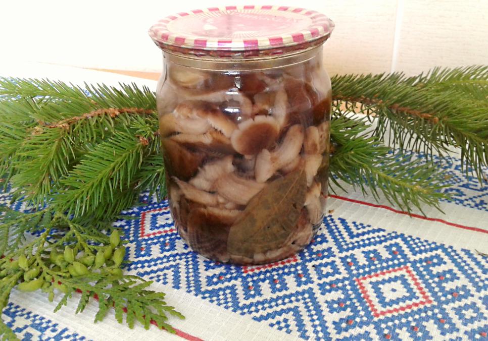 Рецепти:  Смачні апетитні мариновані опеньки